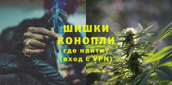 ALPHA PVP Иннополис