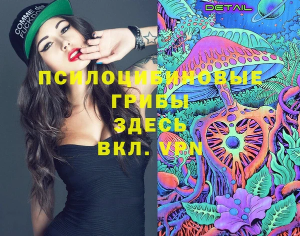 герыч Зеленокумск