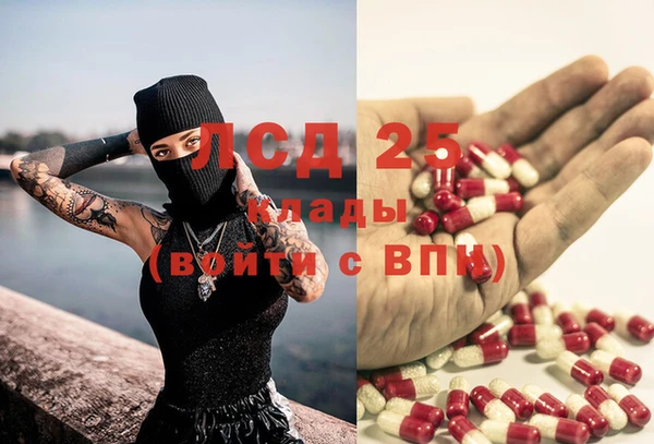 ALPHA PVP Иннополис