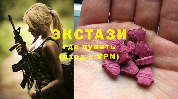 ешки Инта
